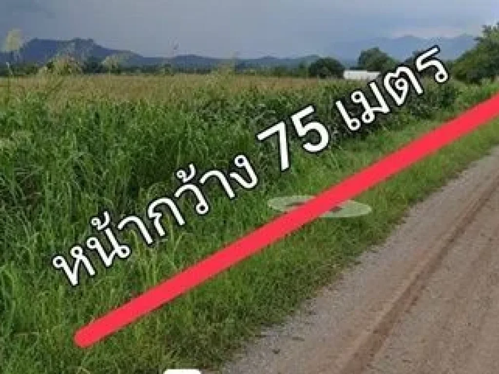 ขายที่ดิน 25ไร่ตลำนารายณ์ อชัยบาดาล ลพบุรี ขายที่ดิน 25ไร่ตลำนารายณ์ อชัยบาดาล ลพบุรี