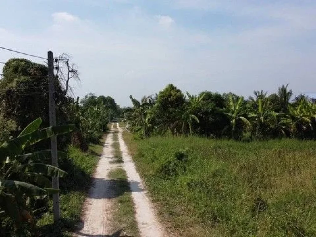 ที่ดินคลอง 9 หนองเสือ 2 ไร่ เข้ามาจากถนนรังสิต-นครนายกเพียง 36 กมเท่านั้น