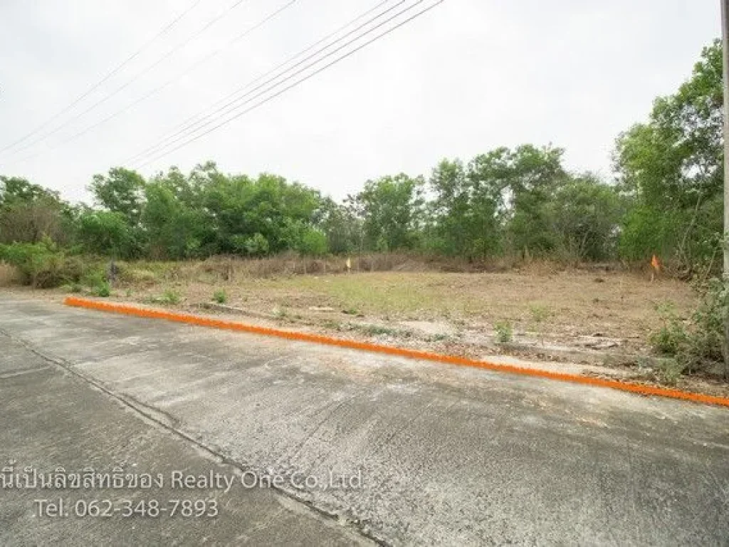 ขาย ที่ดิน ถมแล้ว ติดถนนคอนกรีต คลองสิบ หนองเสือ ปทุมธานี