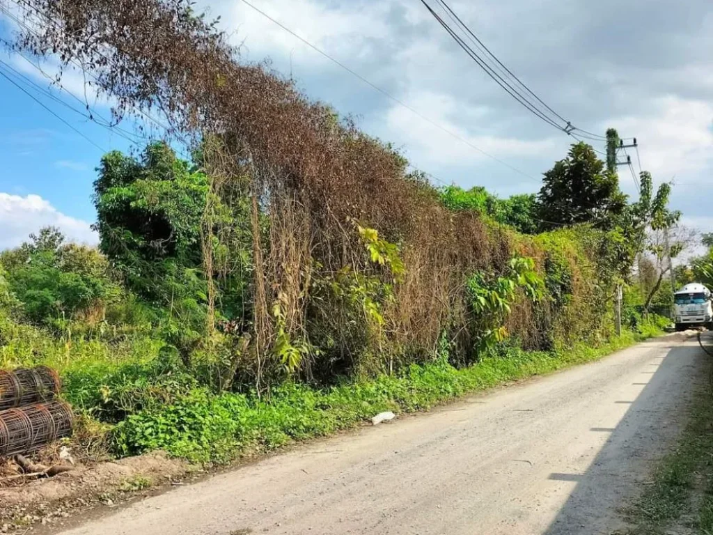 ขายที่ดินป่าป้องดอยสะเก็ตติดถนนคอนกรีตทำเลดีพร้อมโอน