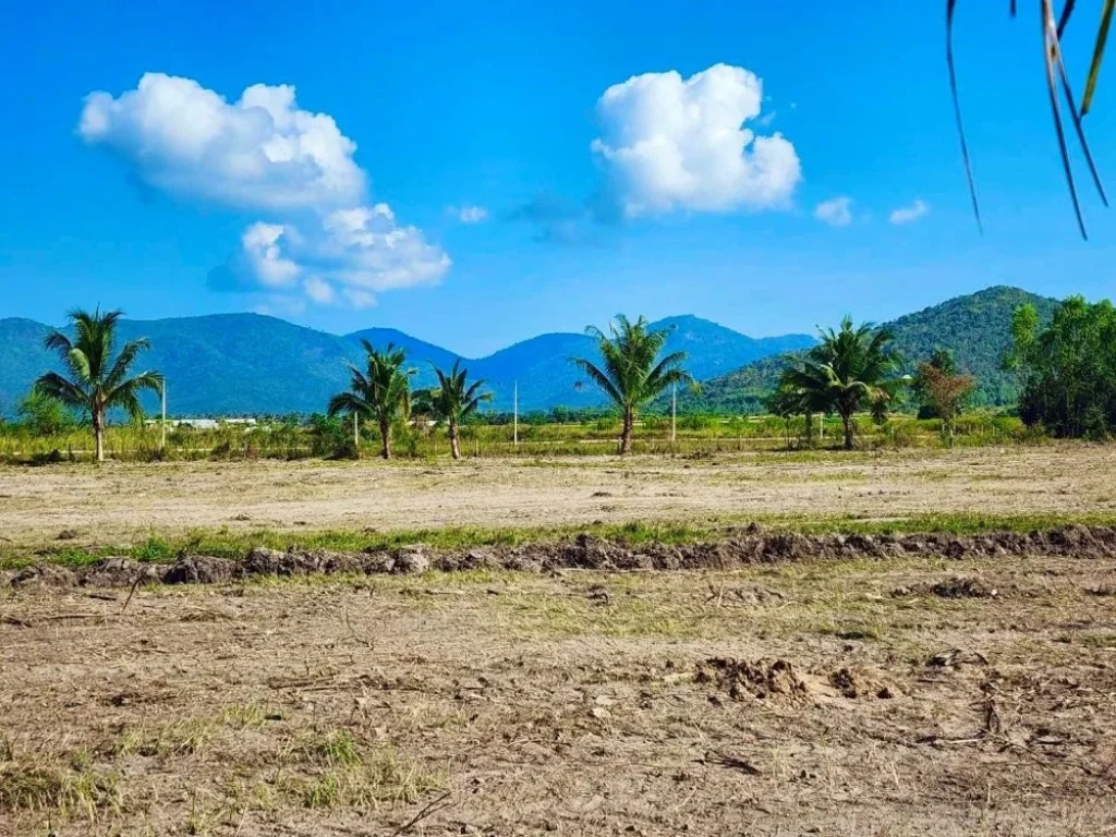 ขายที่ดิน วิวเขาลูกใหญ่ ติดถนนลาดยาง ชะอำ เพชรบุรี