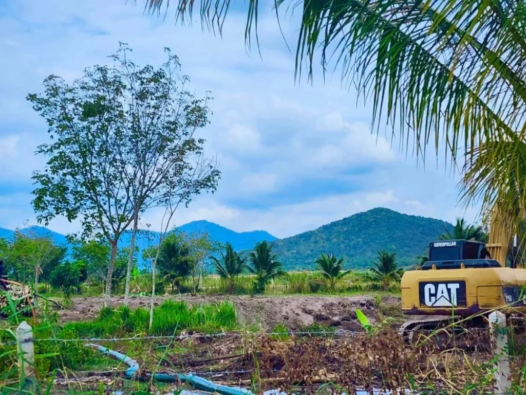 ขายที่ดิน วิวเขาลูกใหญ่ ติดถนนลาดยาง ชะอำ เพชรบุรี