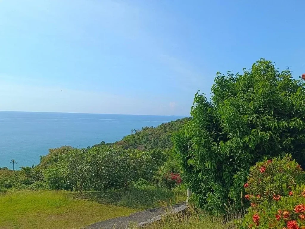 ขายที่ดินพร้อมสิ่งปลูกสร้างพร้อมพัฒนา 33 ไร่ กันเตียงเบย์ เกาะลันตา Kantiang Bay Kor Lanta