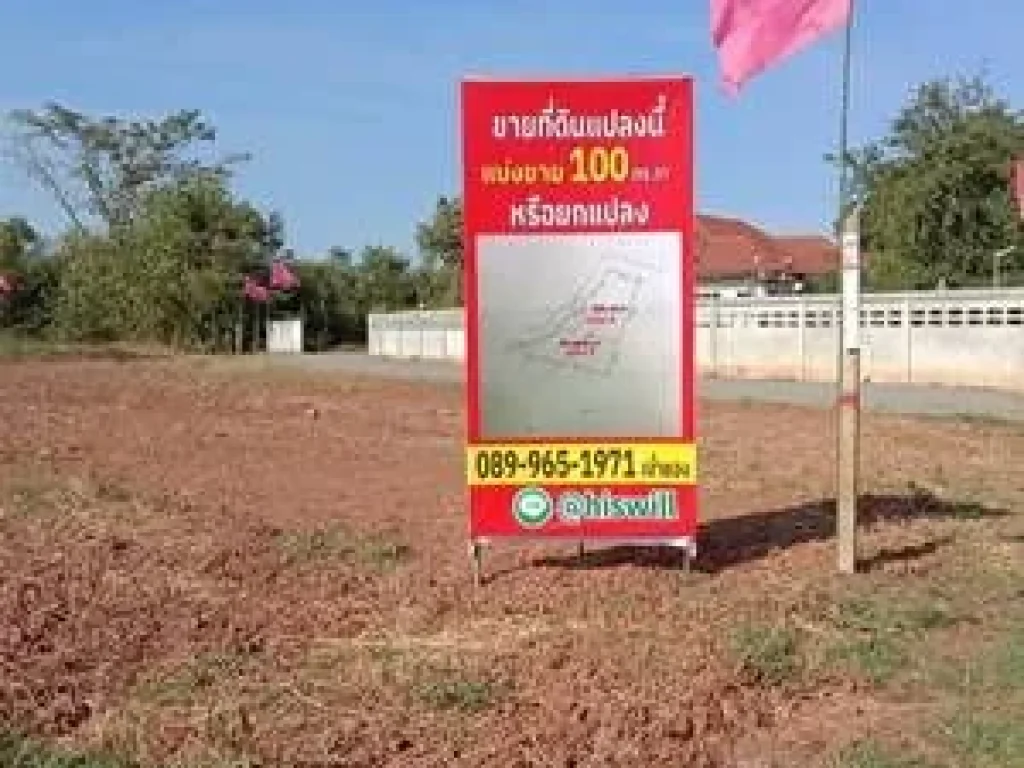 ที่ดินแบ่งขาย100 ตรวา หรือยกแปลง200 ตรวา โฉนดพร้อมโอน ในชุมชนขี้เหล็กใหญ่