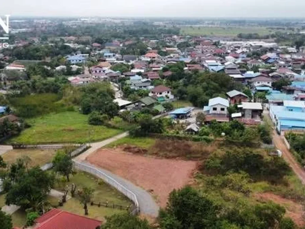 ที่ดินแบ่งขาย100 ตรวา หรือยกแปลง200 ตรวา โฉนดพร้อมโอน ในชุมชนขี้เหล็กใหญ่