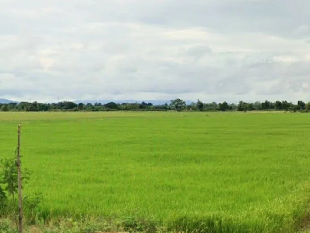 ที่นาแปลงสวย ดินดี น้ำดี มีวิวสวย ติดทางสาธารณะ เขตอำเภอเมืองอุตรดิตถ์ ราคาถูก