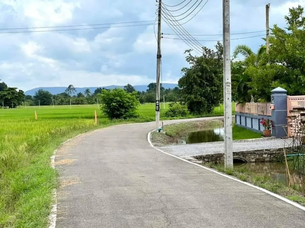 ขายที่ดินทำเลดี ย่านชุมชน ขนาด 1 ไร่ น้ำไฟฟ้า ถนนลาดยาง หน้าโครงการ ป่าซาง ลำพูน