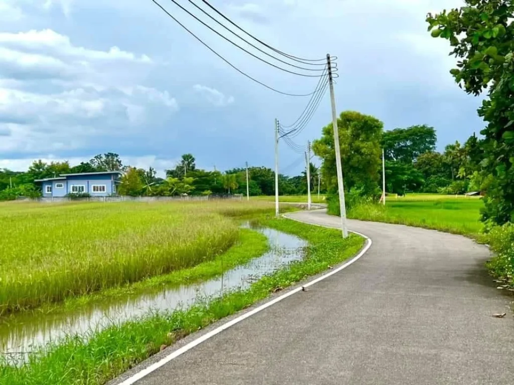 ขายที่ดินทำเลดี ย่านชุมชน ขนาด 1 ไร่ น้ำไฟฟ้า ถนนลาดยาง หน้าโครงการ ป่าซาง ลำพูน