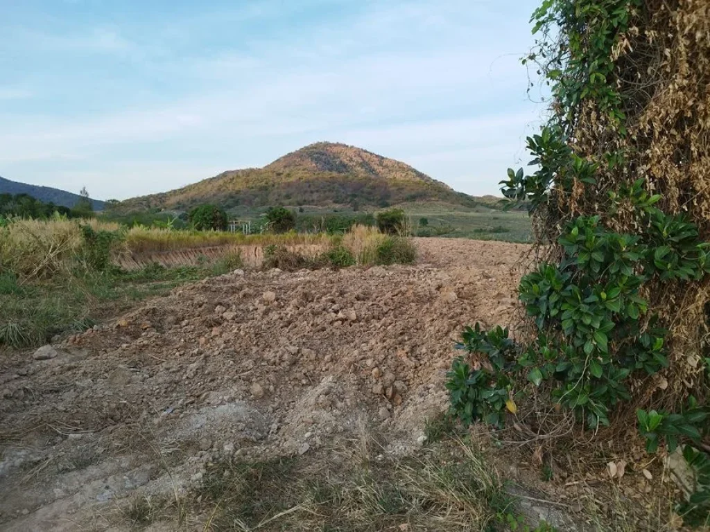 ขายที่ดินพร้อมสวนมะพร้าว 7 ไร่กว่า อำเภอกุยบุรี จังหวัดประจวบคีรีขันธ์ ในตำบลสามกระทาย