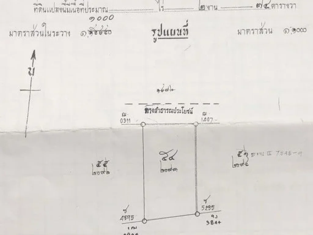 ที่ดินคลองสอง ที่ดินซอยบงกช ที่ดินคลองหลวง ถมแล้ว 274 วา รังสิตนครนายกซอย31