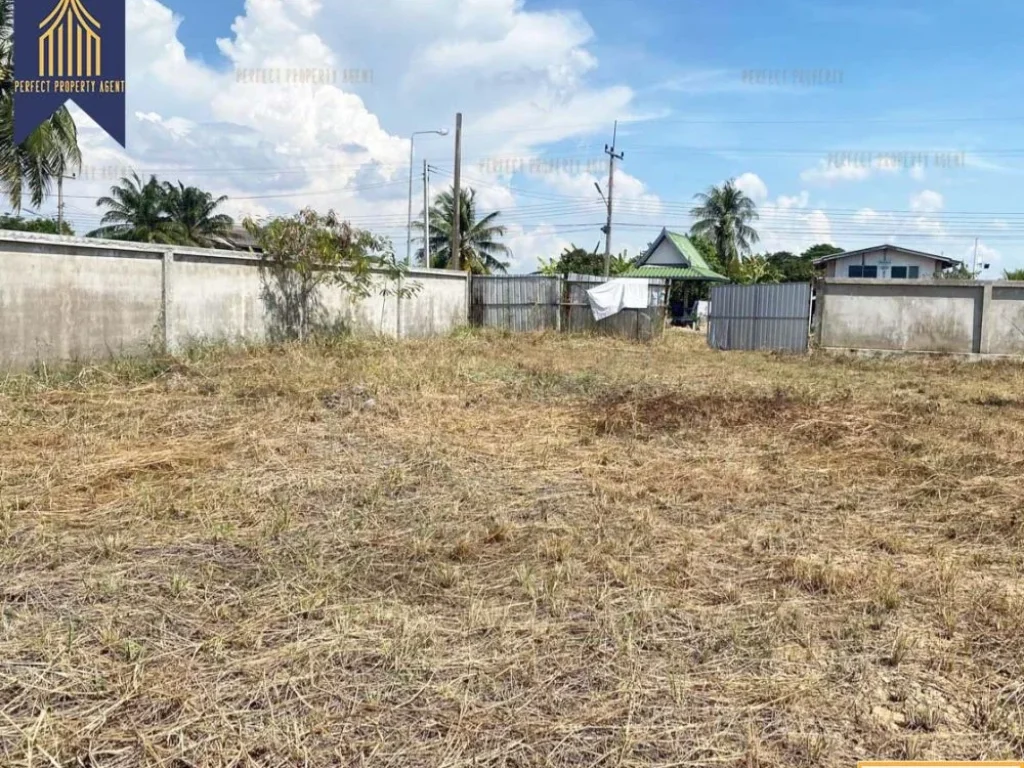 ที่ดิน ถมแล้ว มีใบอนุญาต ลำลูกกาคลอง 14 ปทุมธานี ติดถนน ทำเลดี