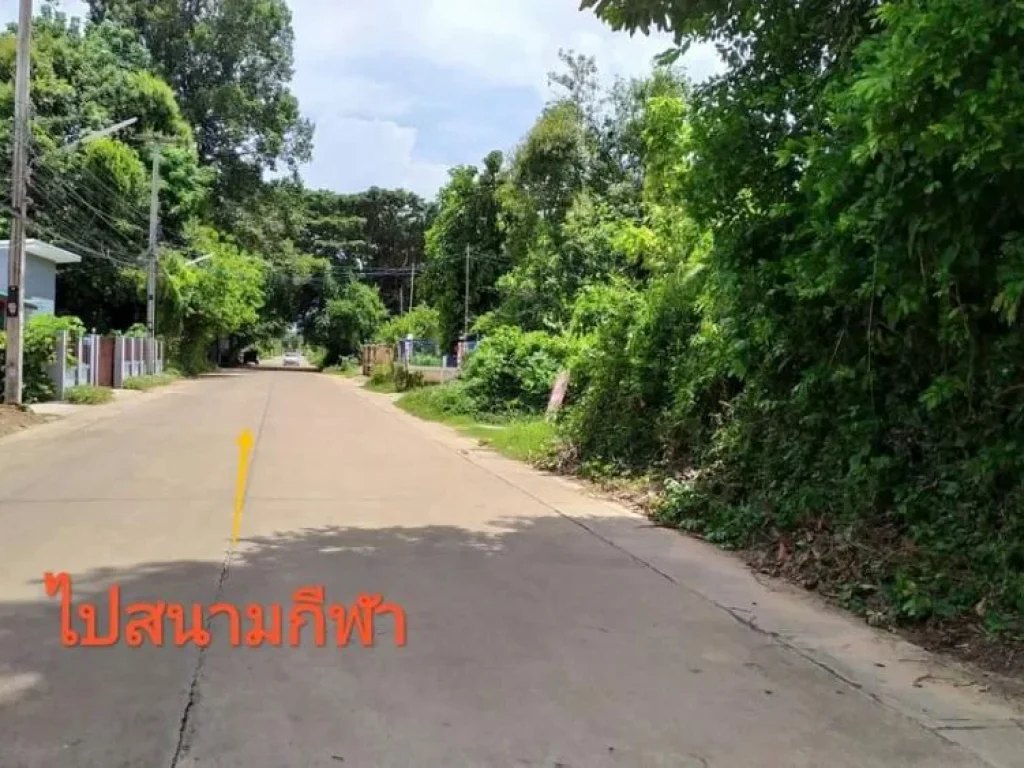 ที่ดินแปลงหัวมุมเทศบาลเมืองศรีสะเกษ ใกล้ตลาดยูเทิร์น