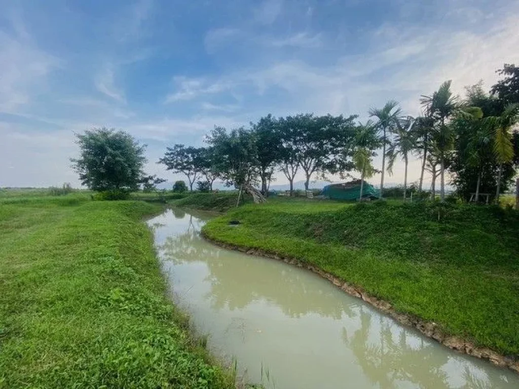 ขายที่ดินติดถนนสาธารณะ วิวภูเขาล้อมรอบเหมาะทำบ้านสวน บ้านพักส่วนตัว ธรรมชาติ โซนแม่แฝก สันทราย