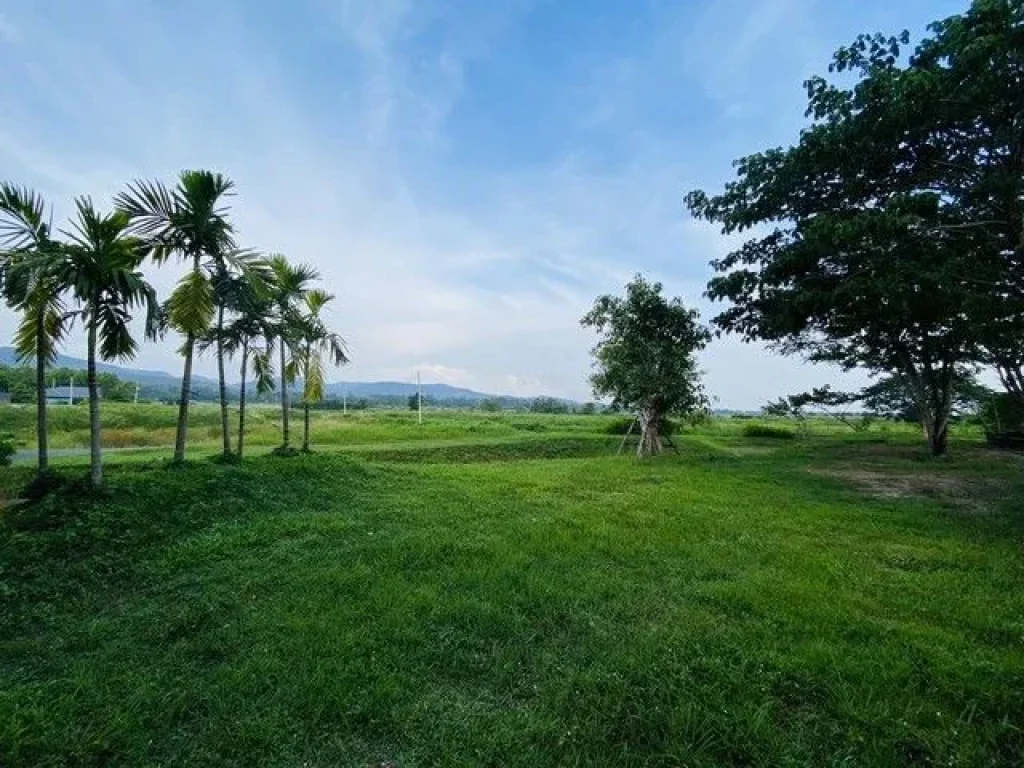 ขายที่ดินติดถนนสาธารณะ วิวภูเขาล้อมรอบเหมาะทำบ้านสวน บ้านพักส่วนตัว ธรรมชาติ โซนแม่แฝก สันทราย