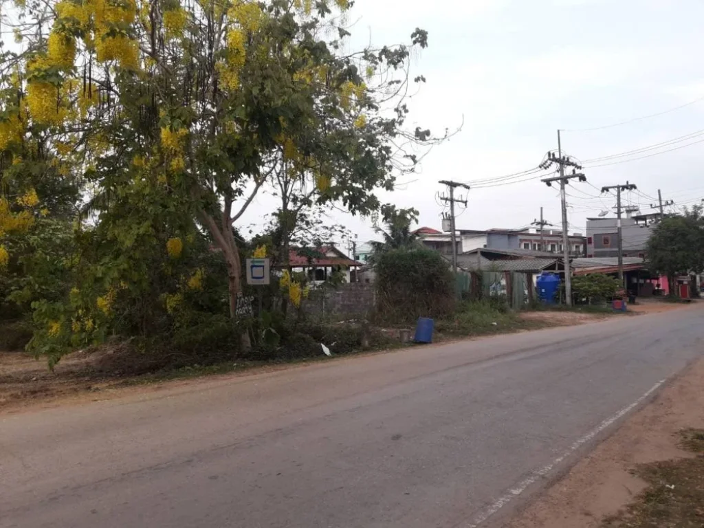 ขายที่ดินเปล่า ทำเลดี ใกล้หาดคลองนิน ตเกาะลันตาใหญ่ อเกาะลันตา จกระบี่