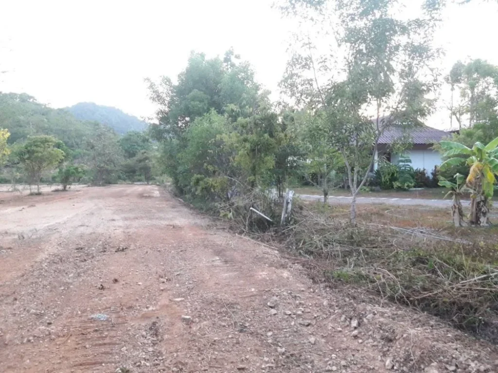 ขายที่ดินเปล่า ทำเลดี ใกล้หาดคลองนิน ตเกาะลันตาใหญ่ อเกาะลันตา จกระบี่