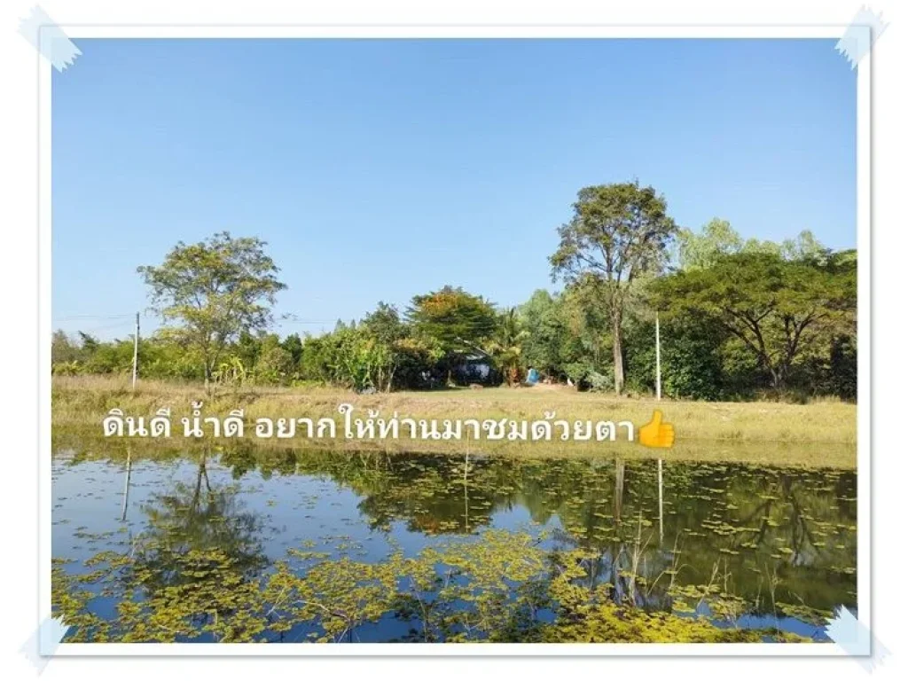 บ้านสวนในฝัน8ไร่เศษ ดินดี น้ำเยอะ พร้อมรายได้ บ้านฝาง เพียง 45แสนต่อไร่