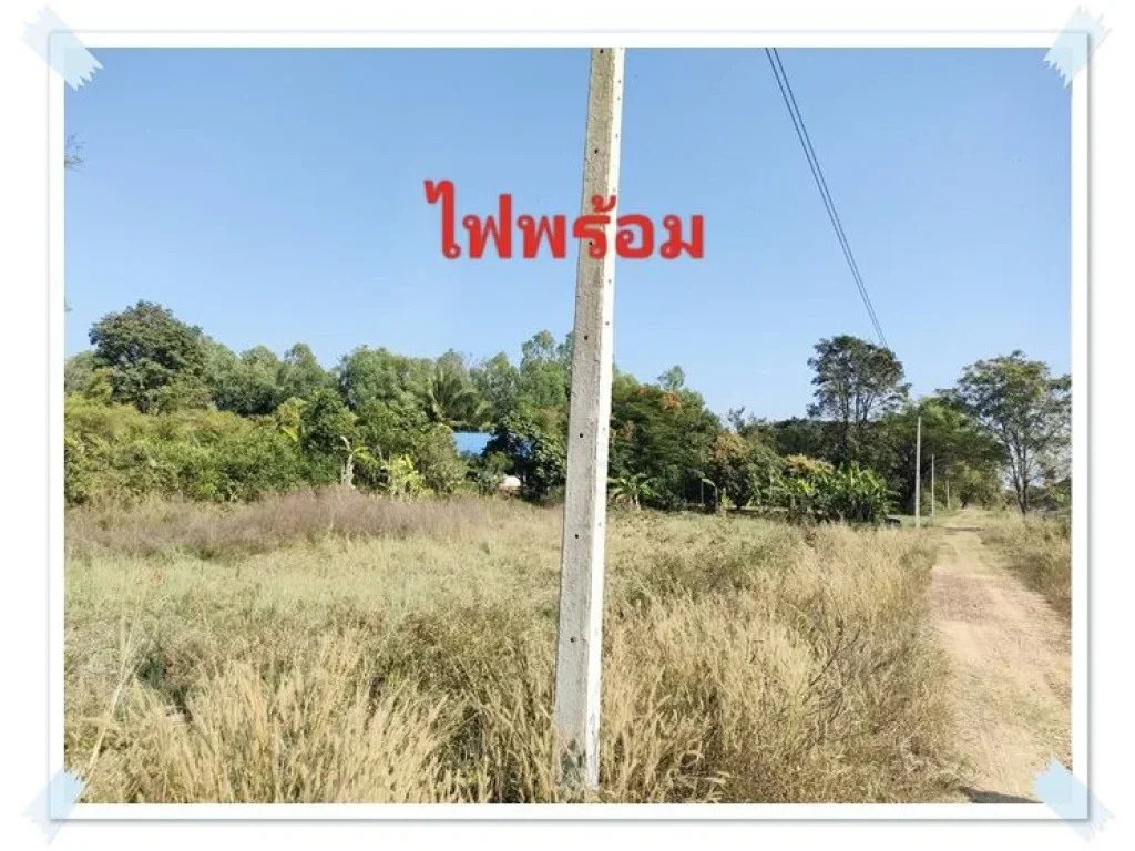 บ้านสวนในฝัน8ไร่เศษ ดินดี น้ำเยอะ พร้อมรายได้ บ้านฝาง เพียง 45แสนต่อไร่