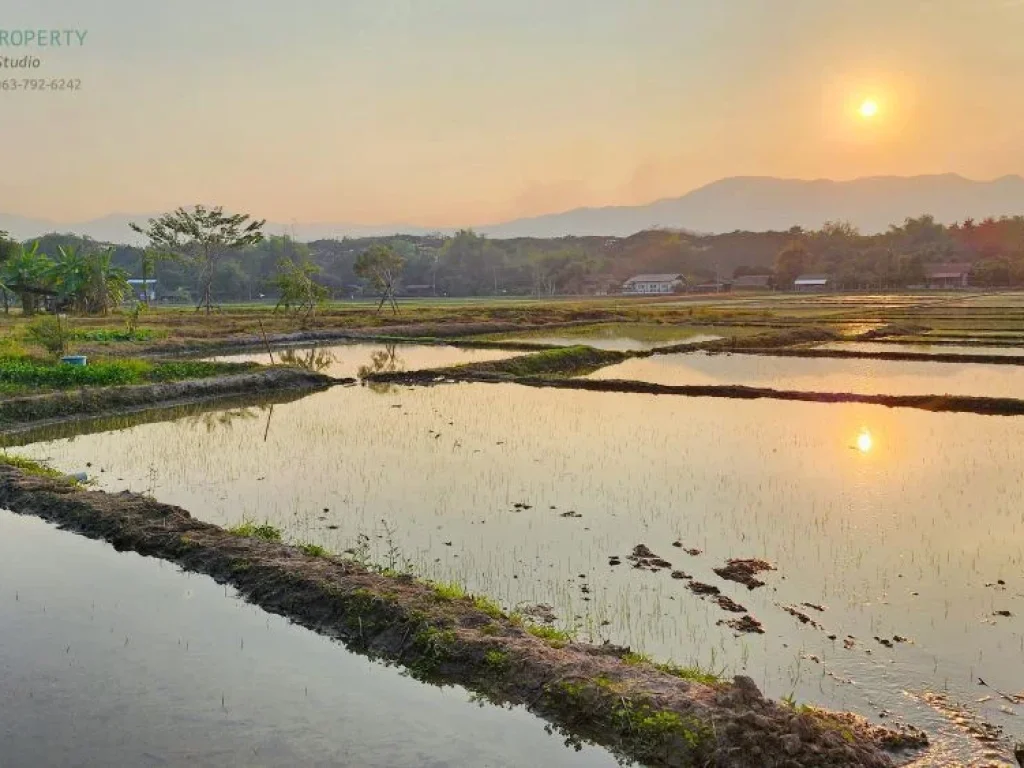 สัมผัสวิชีวิตแบบ Slow life สูดกลิ่นอายของวิถีชนบท ท่ามกลางวิวทุ่งนาและภูเขา ที่ดินเปล่าเกรด AA แม่ริม ใกล้ รรนานาชาติเปรมฯ