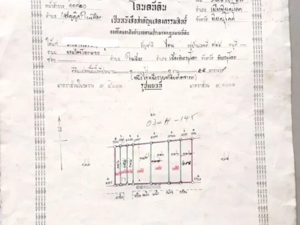 ขายด่วน ที่ดินเปล่า ทำเลดีสวย ราคาถูกเจ้าของขายเอง 907 ตรว ตอรัญญิก อเมือง จพิษณุโลก