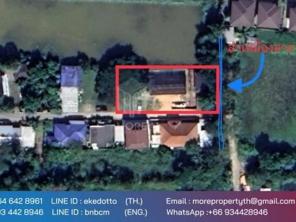 More-101LS ขายที่ดินใกล้แยกแม่กวง 234 ตรว ตสันพระเนตร อสันทราย จเชียงใหม่