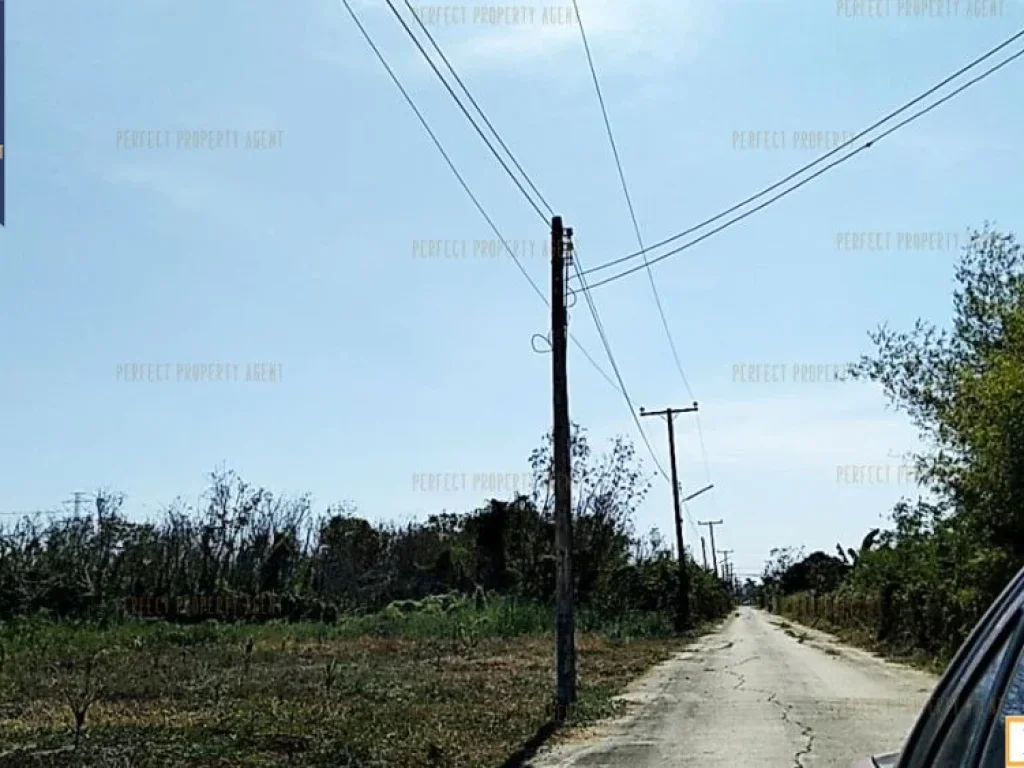 ที่ดิน 1 ไร่ ลำลูกกา ปทุมธานี ใกล้ตลาด 100 ปี คลอง 12