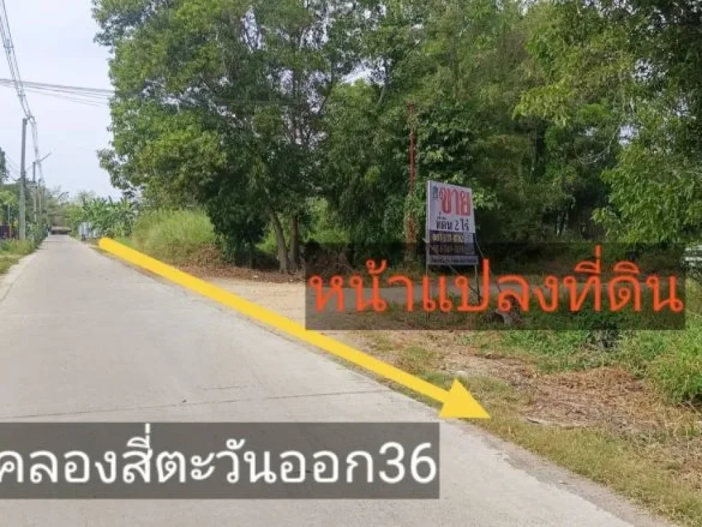 ขายที่ดิน 2 ไร่ ซคลองสี่ตะวันออก36 ตคลองสี่ อคลองหลวง จปทุมธานี