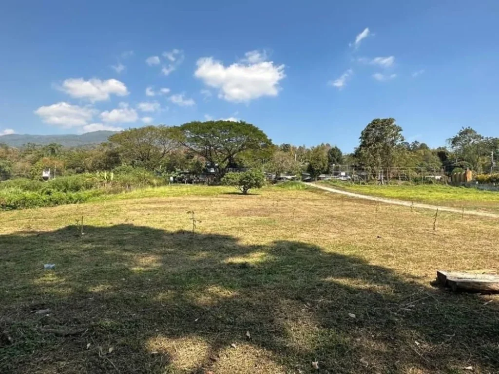 ขายที่ดิน วิวภูเขา ติดลำธาร ติดถนนหลัก จเชียงใหม่