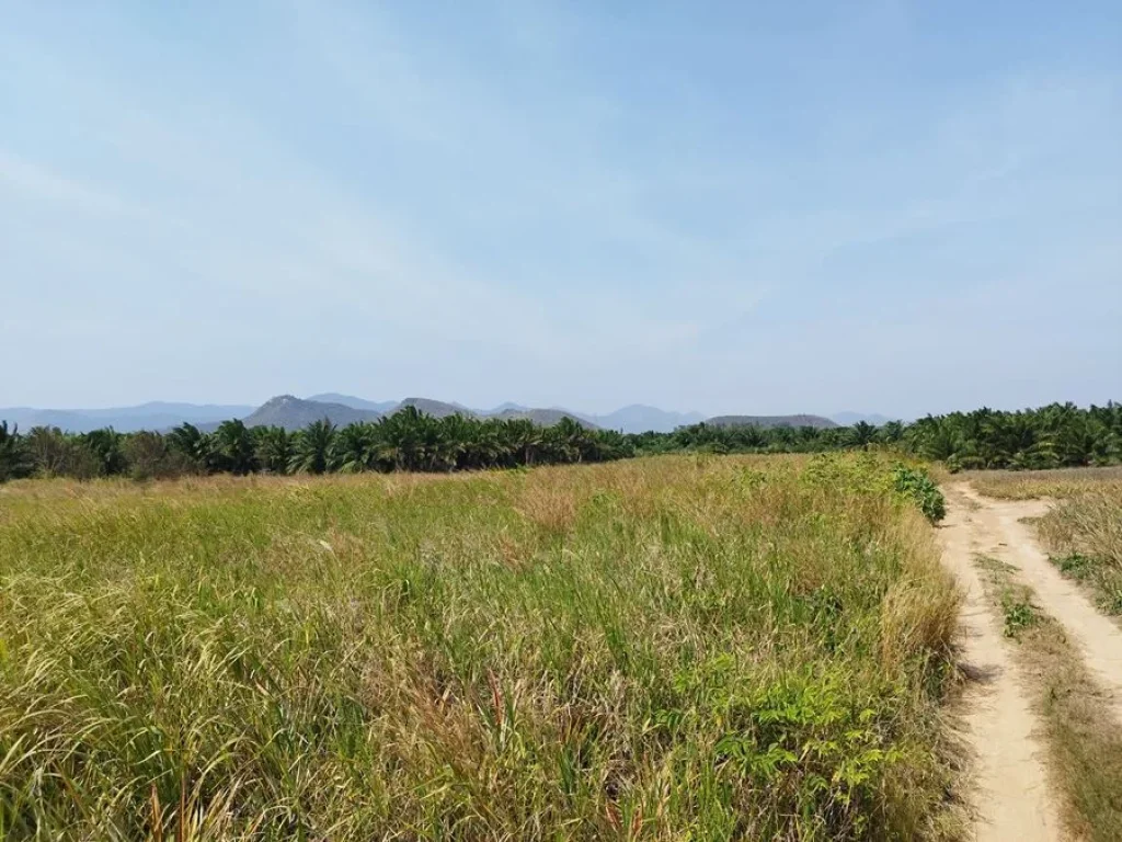 ขายที่ดิน 10 ไร่ บ้านยุบพริก ตำบลบ่อนอก อำเภอเมืองประจวบคีรีขันธ์ ที่ดินรูปทรงยาว