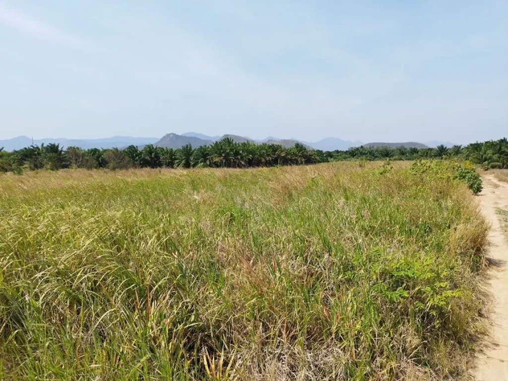 ขายที่ดิน 10 ไร่ บ้านยุบพริก ตำบลบ่อนอก อำเภอเมืองประจวบคีรีขันธ์ ที่ดินรูปทรงยาว