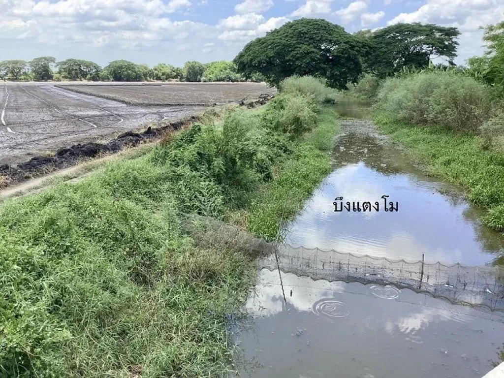 ขายที่ดินแปลงใหญ่ ติดถนนซอยวัดสุขใจ 64-3-17 ไร่ นิมิตใหม่ คลองสามวา