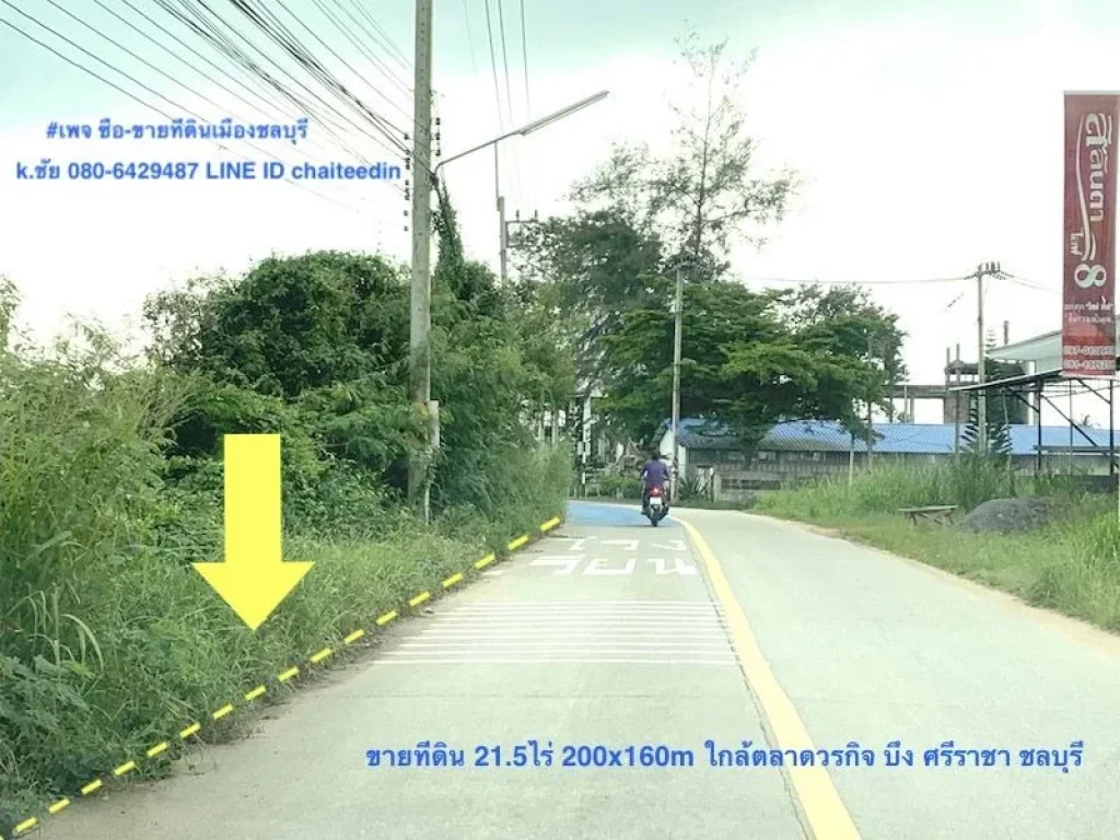 ขายที่ดินผังเมือง EEC เนื้อที่ 215ไร่ ติดถนน 200เมตร ลึก