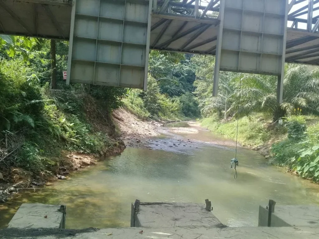 ขายที่ดิน สวนยาง สวนปาล์ม และบ้าน จังหวัดพังงา เจ้าของขายเอง