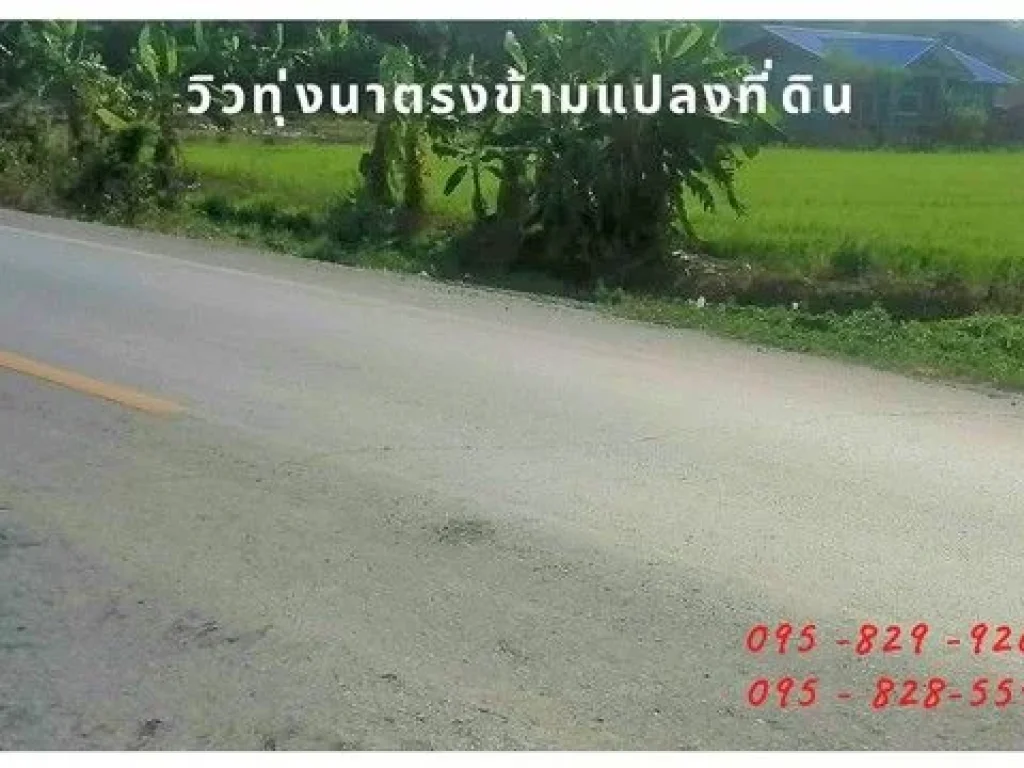 ขายที่ดิน 2-3-75 ไร่ ติดถนน 8 ม ลำลูกกา-องครักษ์ คลอง14