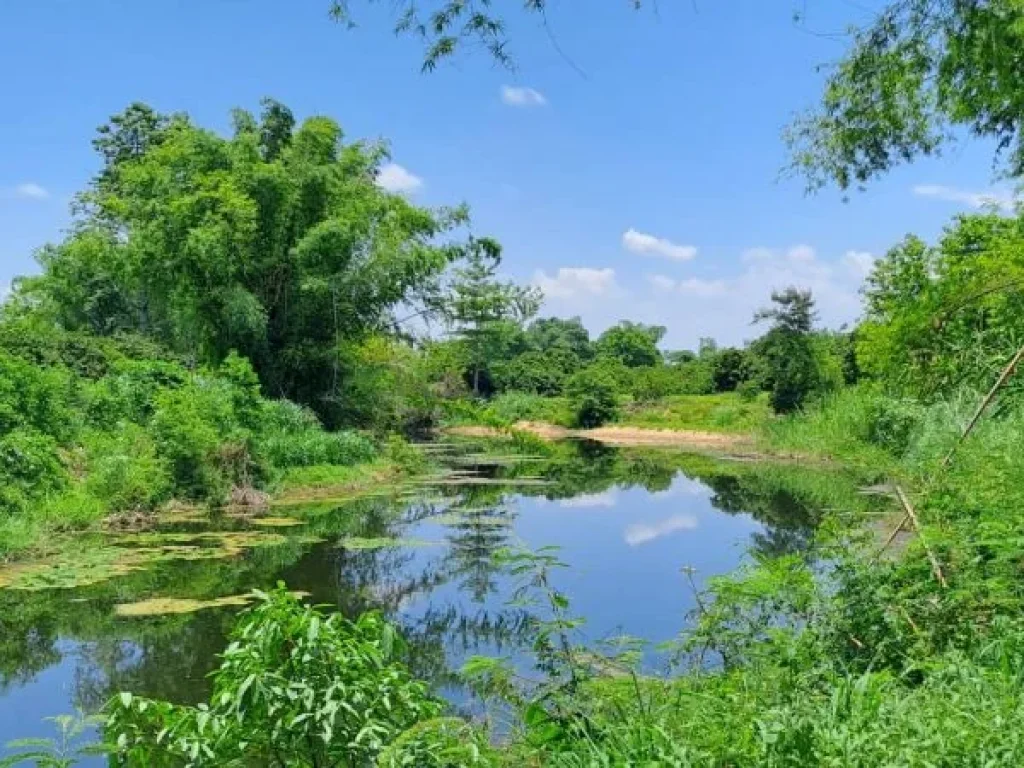 ขายที่ดินติดแม่น้ำลี้ ทำเลดีวิวสวย ใกล้ทางขึ้นดอยอินทนนท์