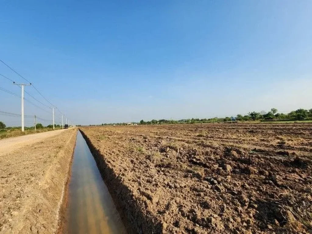 ขายที่ดิน คลอง 12 หนองเสือ 5 ไร่ ติดถนน 2 ด้าน