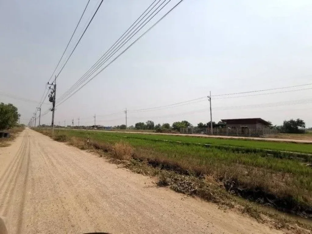 ที่ดินเงินผ่อน ที่ดินคลอง4 คลองหลวง ปทุมธานี ใกล้มอเตอร์เวย์