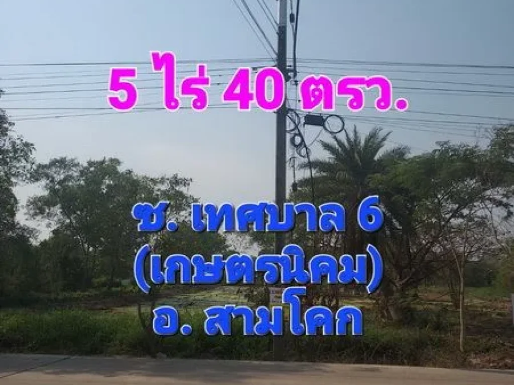 ขายที่ดิน เนื้อที่ 5 ไร่ 40 ตารางวา ติดถนนซอยเทศบาล 6