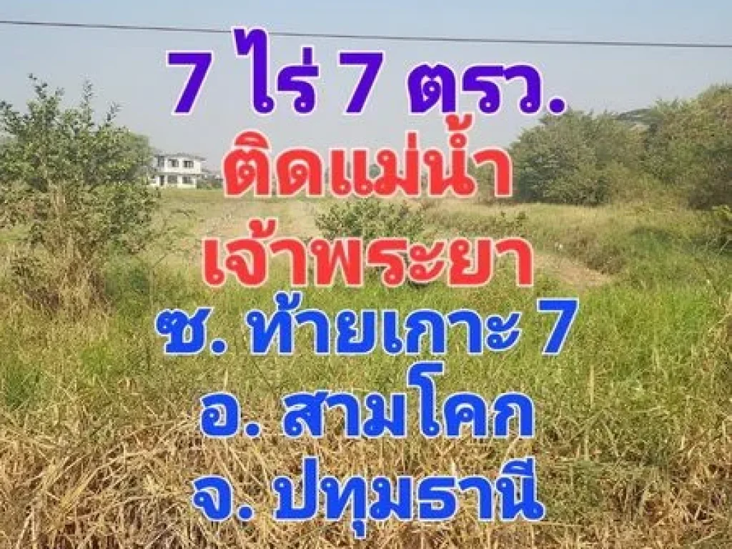 ขายที่ดิน 7 ไร่ ซอยท้ายเกาะ 7 ติดถนนและติดแม่น้ำเจ้าพระยา