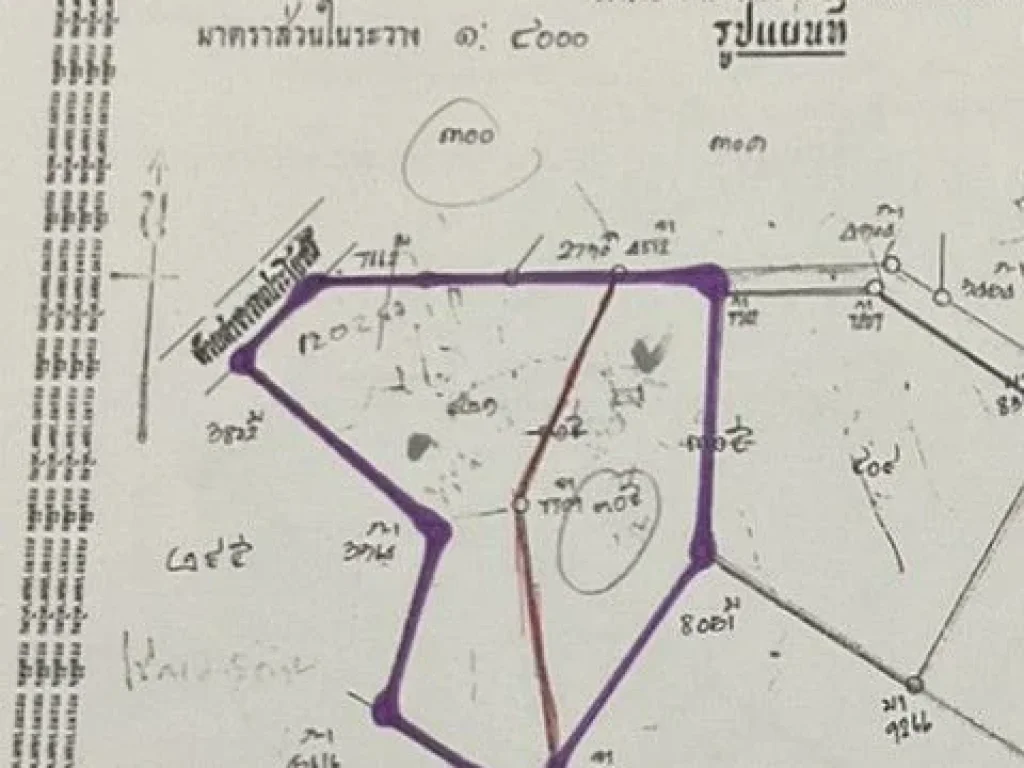 ขายที่ดินหนองข้างคอกใกล้เลียบมอเตอร์เวย์ ไร่ละ25ล้านบาท