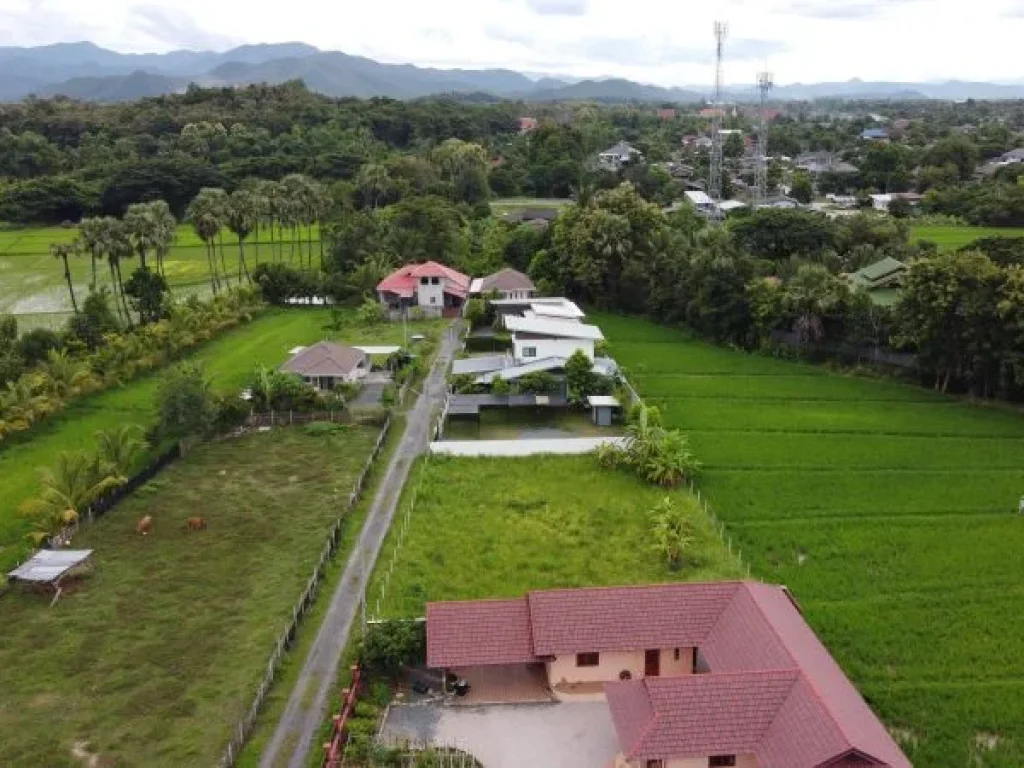 ขายที่ดิน 211 ตรว ใกล้ถนนตัดใหม่ 500 เมตร สาธารณูปโภคครบ