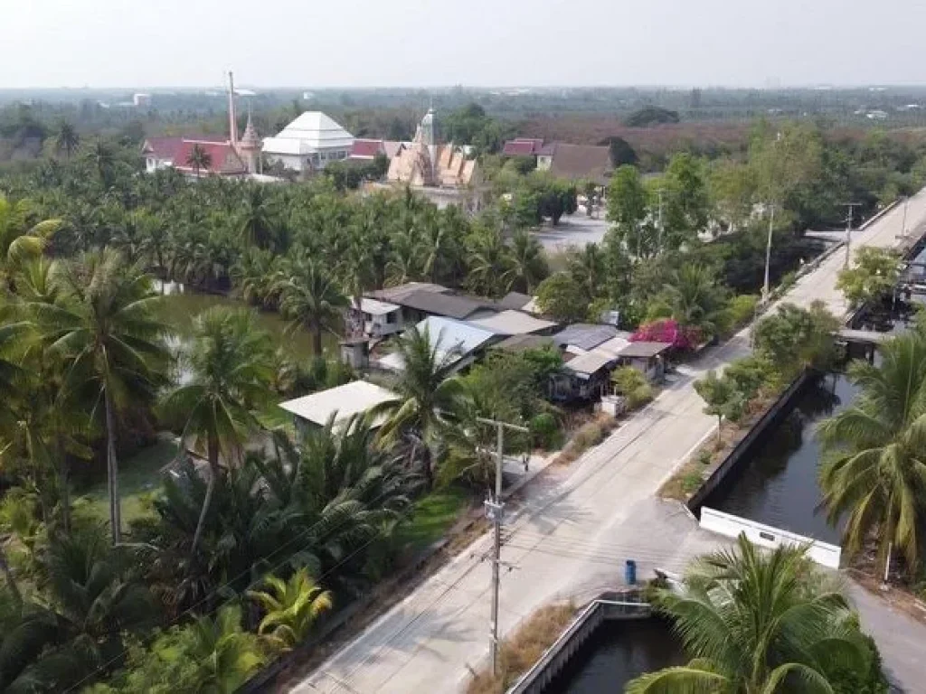 ขายที่ดิน ตรงข้ามโรงเรียนบ้านวังจรเข้ ถนนบ้านแพ้ว