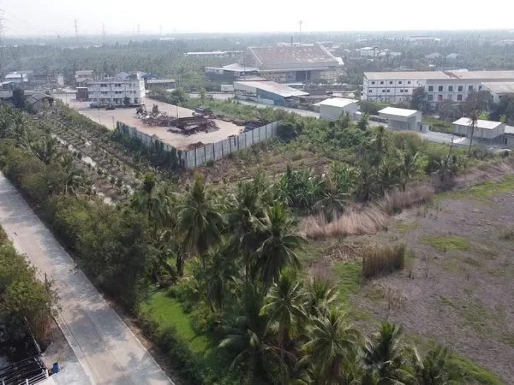 ขายที่ดิน ตรงข้ามโรงเรียนบ้านวังจรเข้ ถนนบ้านแพ้ว