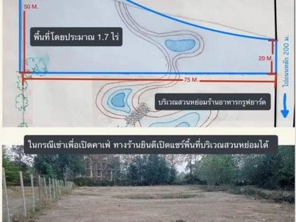 ให้เช่า ที่ดิน 17 ไร่ ซอยตรงข้ามประปาแม่ริม ตแม่สา อแม่ริม