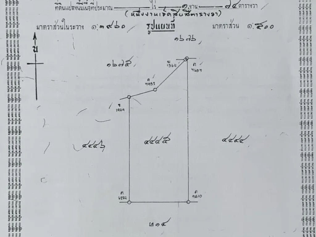 ขายบ้านเดี่ยว ไดเร็คเตอร์ทาวน์ บางบัวทอง นนทบุรี 176 ตารางวา