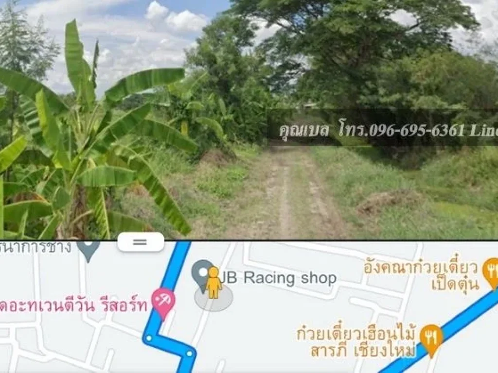 ขายที่ดินเปล่า อำเภอสารภี จังหวัดเชียงใหม่ แปลงนา แปลงสวย 448