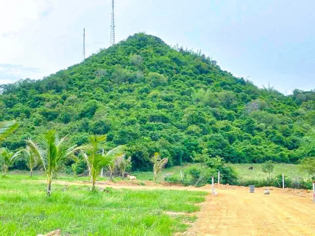 ที่ดินแปลงทิวเขา เฟส 1 หลังพิงเขา เงียบสงบ ใกล้ทะเล เนื้อที่