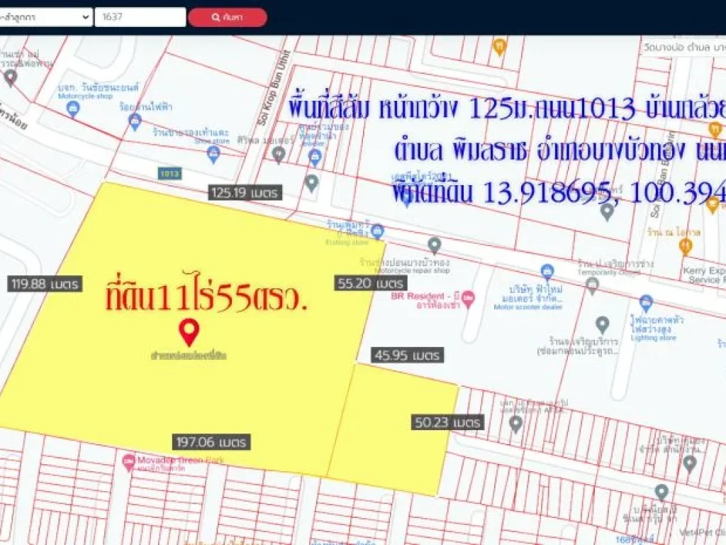 ขายที่ดิน11ไร่55ตรว พื้นที่สีส้ม หน้ากว้าง 125ม ถนน 1013