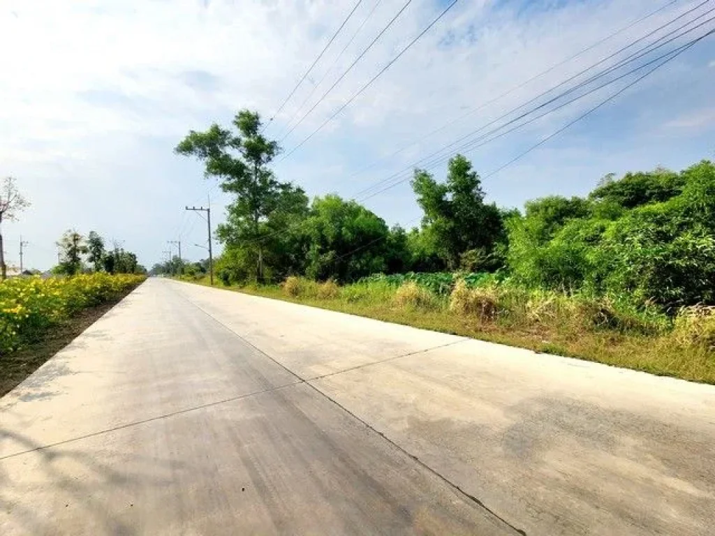 ขายที่ดินติดถนนลาดยางเรียบ คลอง 12 หนองเสือ 10 ไร่ ติดถนน 2