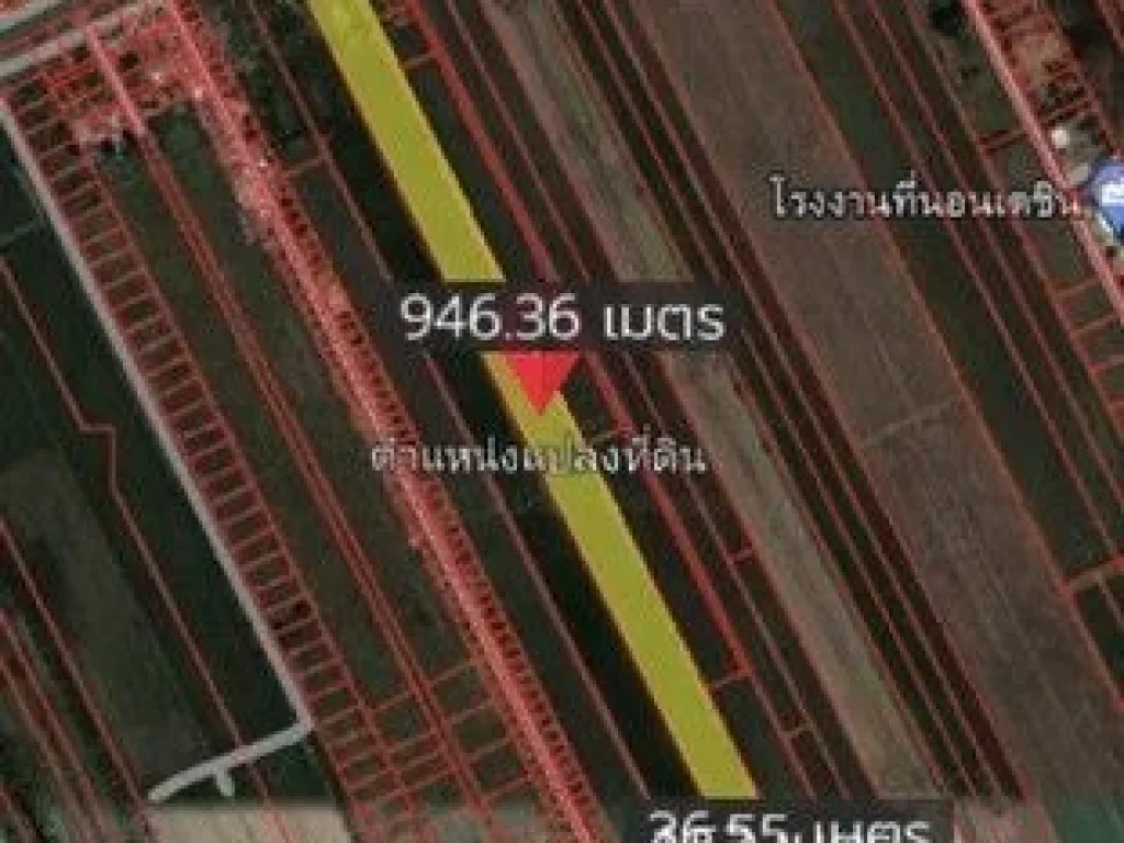 ขายที่ดิน เนื้อที่ 23-0-25 ไร่ หลังวัดชูจิตธรรมราม